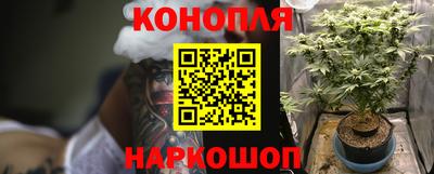прущие грибы Новокубанск