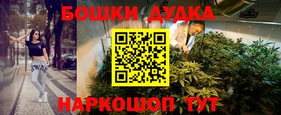 прущие грибы Новокубанск