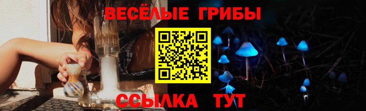 Псилоцибиновые грибы Psilocybe Сухой Лог
